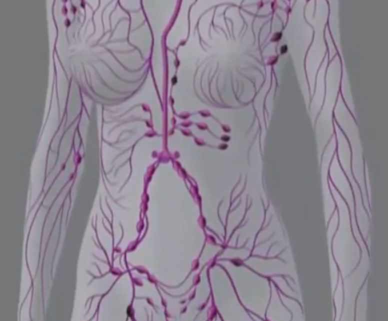 Здоровый кишечник (Энже Кадырова)