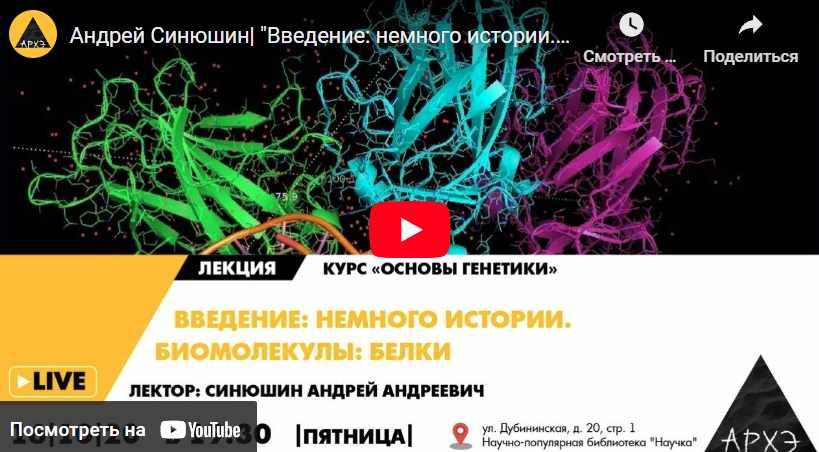 [Архэ] Основы генетики. Лекция 1 «Введение: немного истории. Биомолекулы: белки» (Андрей Синюшин)