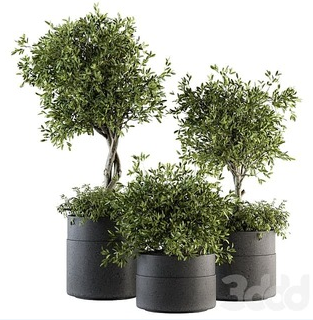 [3ddd.ru] Сборник 3d моделей. Апрель 2021. Часть 6. 3dsMax + Corona + Vray