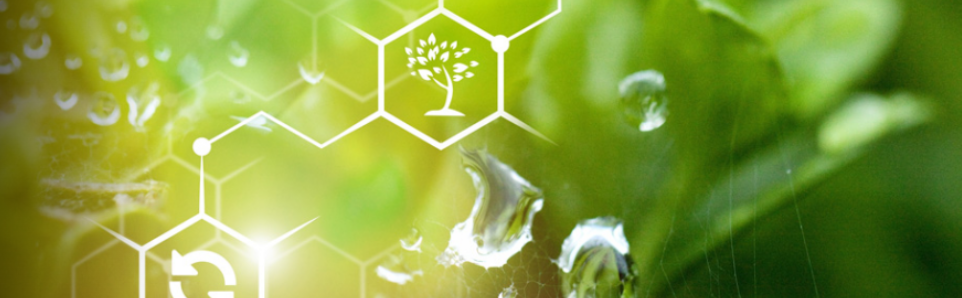 [Архэ] Хордовые (Станислав Дробышевский)