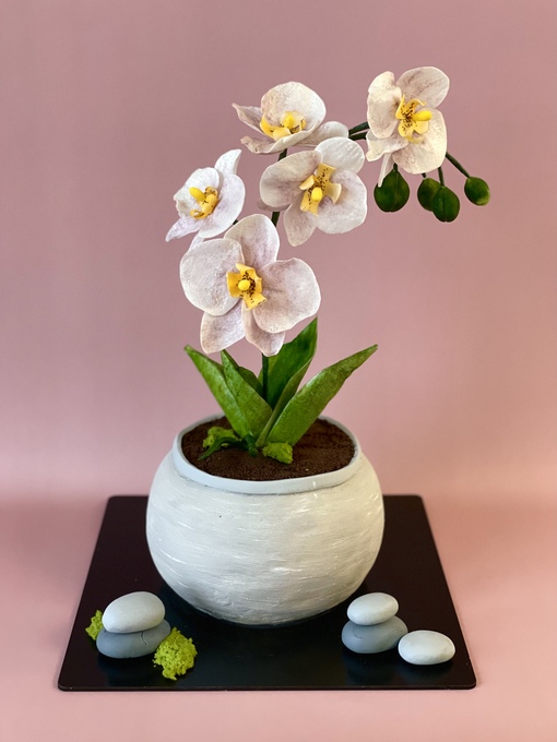 Видеоурок Горшочек с орхидеей (Анастасия Политыкина)