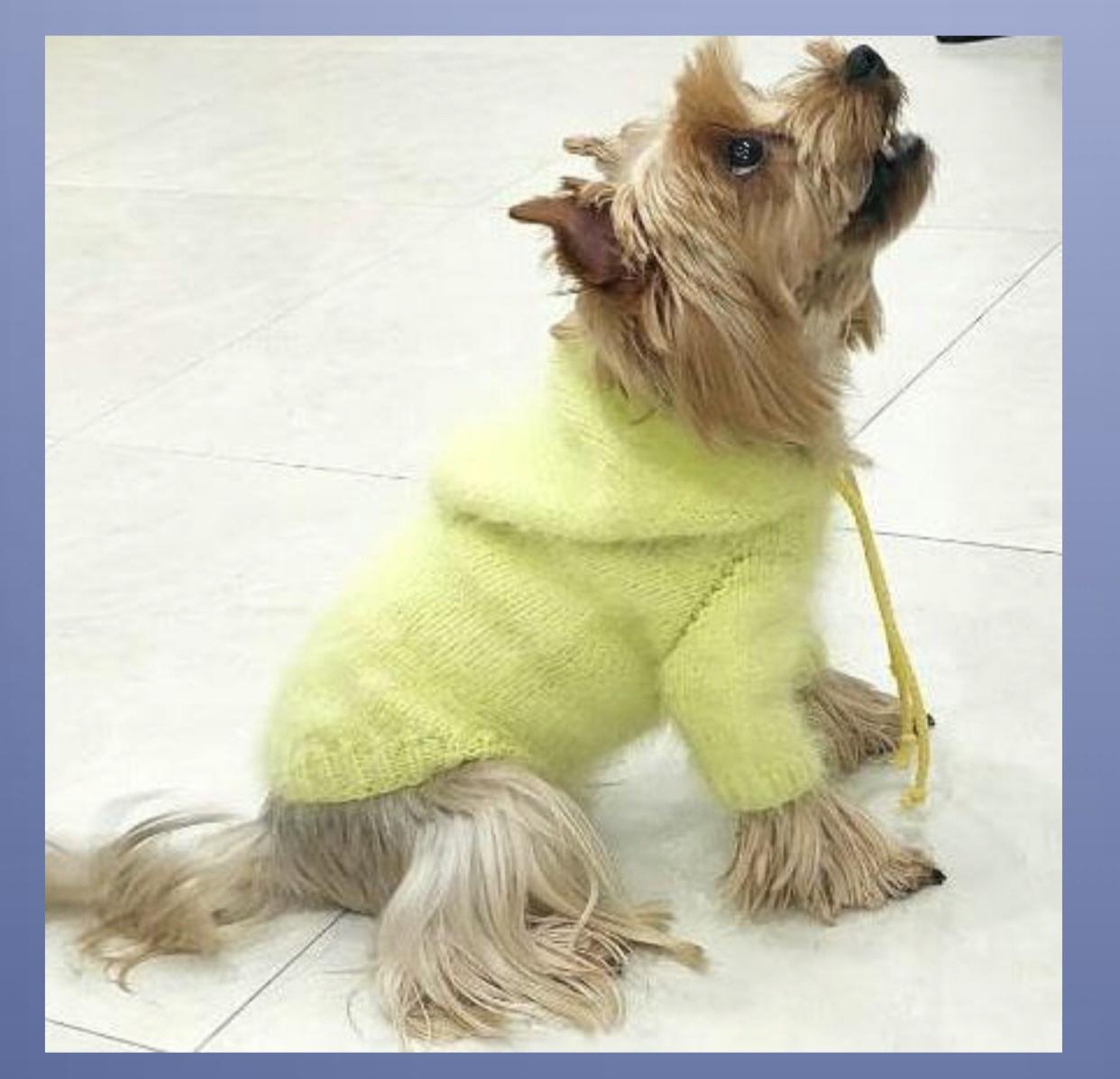 Вязаный худи с капюшоном для собак (modniy_pesik)