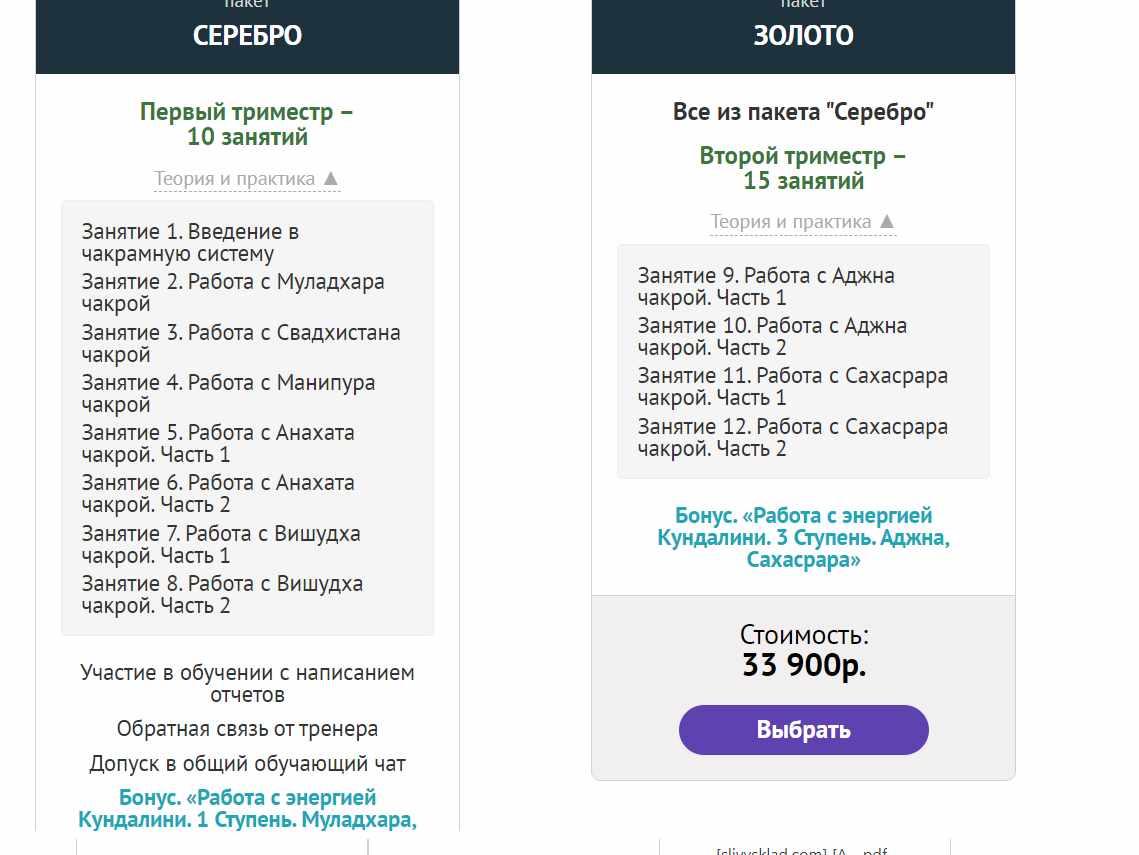 [Master Vision] “Чакрам” - Пакет "ЗОЛОТО" (Василий Попов)