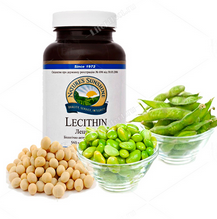 Натуральный соевый экстракт - лецитин (Ольга Кондратьева)