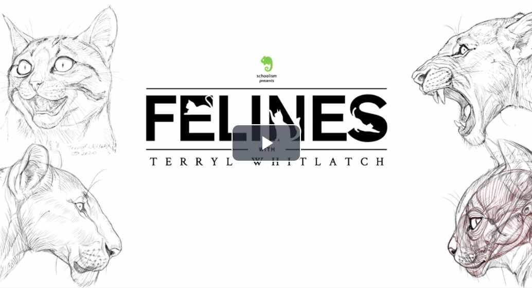 [Schoolism] Кошачьи. Felines (Terryl Whitlatch)