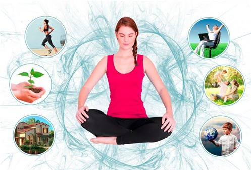 Мрежа мира. Третья ступень проекта Дрога (Алексей Богданов)