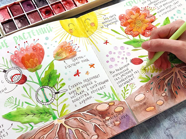 [hurlyburlyschool] 6 блок годового курса Окружающий мир (Оля Сафонова, Даша Сафонова)