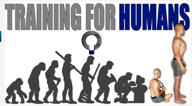 Тренировка Функциональных паттернов для мужчин и женщин (Functional Patterns)