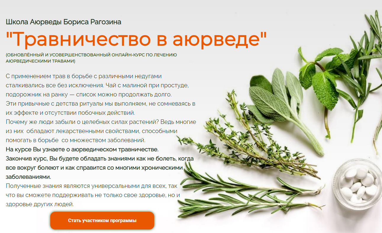 Травничество в традиционной и аюрведической оздоровительной практике (Борис Рагозин, Владимир Корсун, Елена Корсун)