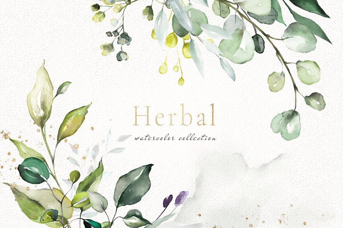 [CreativeMarket] Herbal Watercolor collection. Травяная коллекция акварели