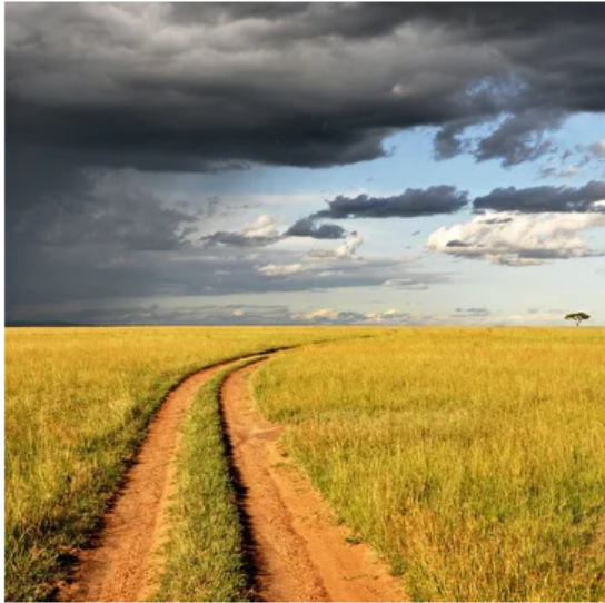 [Таким Путем] Истории путей. Мир в движении. Лекция 2. История торговых путей (Константин Михайлов)