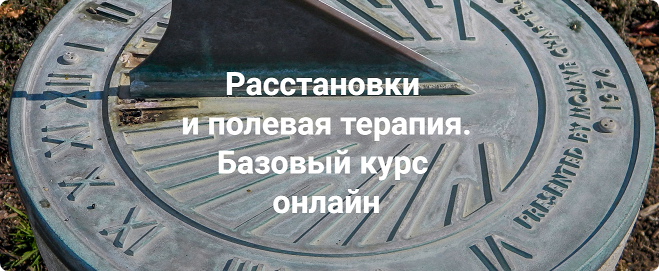 Расстановки и полевая терапия. Базовый курс 2023. Пакет Только теория (Елена Веселаго)