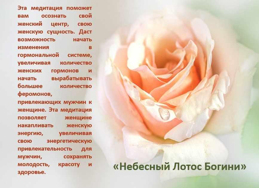 Счастье быть женщиной (Светлана Соковикова)