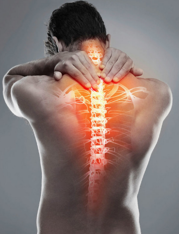 Шея - царица позвоночника. Здоровая шея. Тариф Мини (Сергей Дёмин)