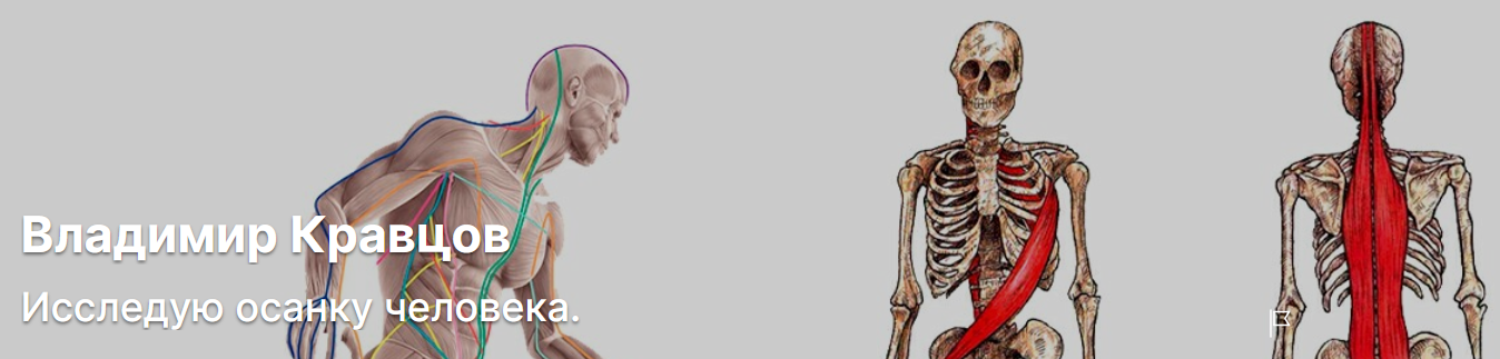 Исправляем кривые ноги (Владимир Кравцов)