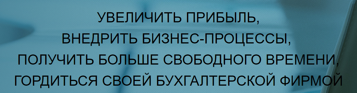 Бухгалтерский бизнес как система Марафон (Юлия Епифанова)