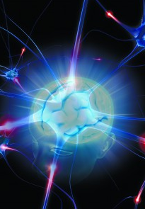 НейроРеБрендинг (Сергей Змеев)