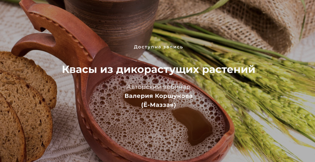 [Ё-Маззай] Квасы из дикорастущих растений (Валерий Коршунов)