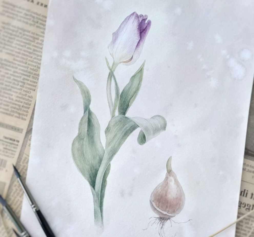 Ретро Тюльпан (Нина Петровская)