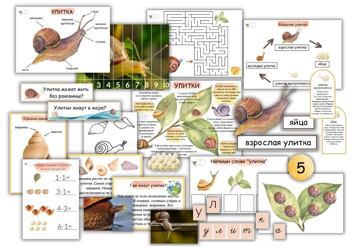 [busy-bee] Улитка (Елена Самсонова)