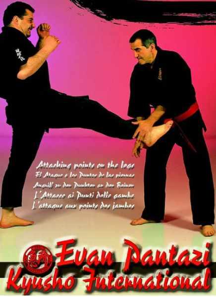 Расшифровка Санчин. Часть 4 из 6 (Эван Пантази)