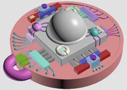 2 курс. Биочип (Атлантида)