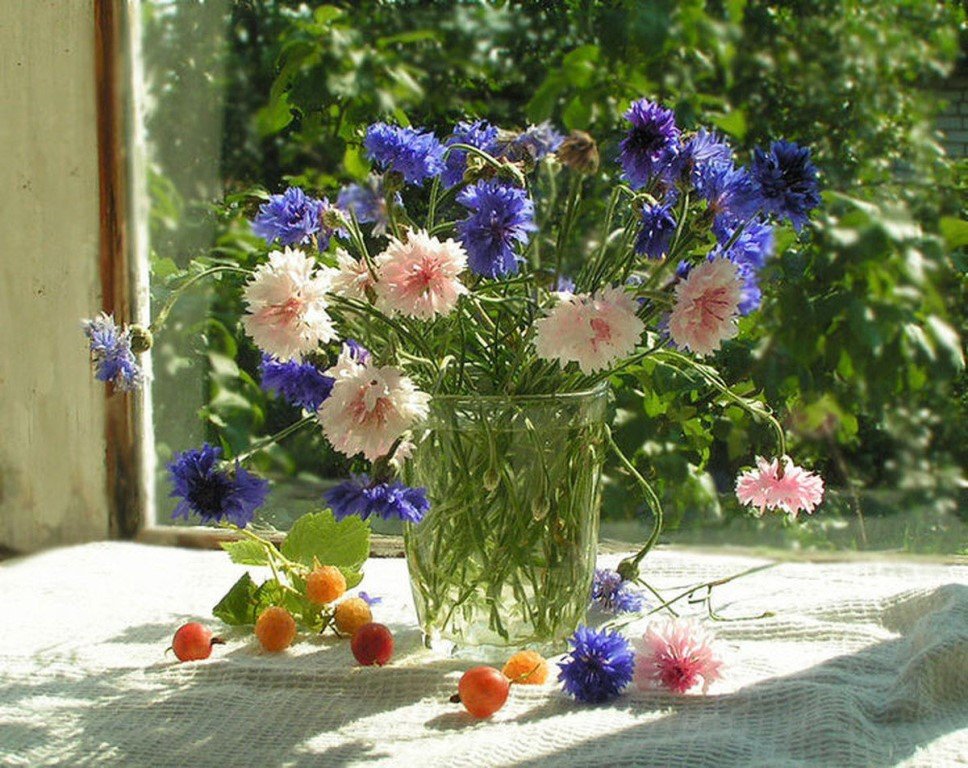 Букет васильков. 3 мастер класса (Ольга Базанова)