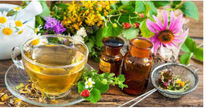 Народная медицина. Правильное составление и подбор травяных сборов (Яна Горбовская)