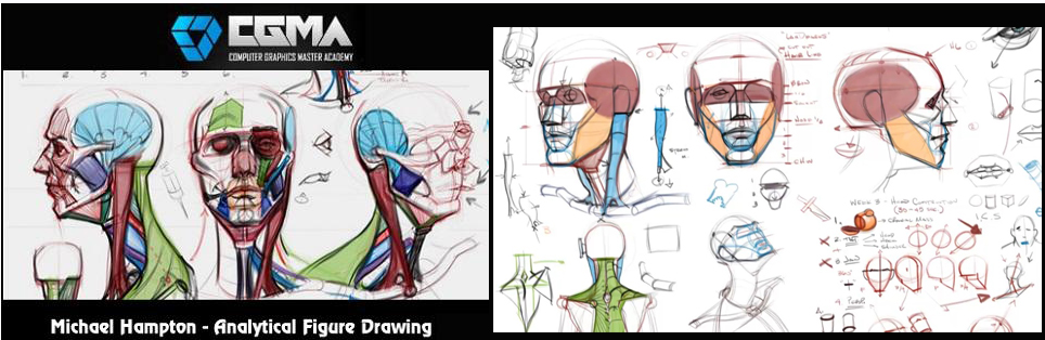 [CGMA]  Аналитическое рисование фигуры I - Неделя 3 (Michael Hampton)