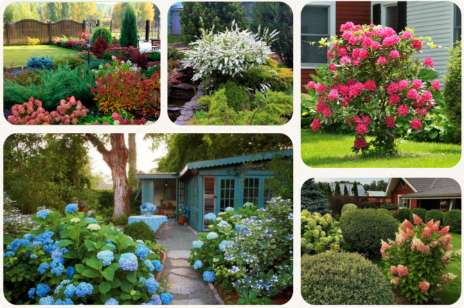 [Умный садовник] Сад непрерывного цветения (Ольга Никитина)