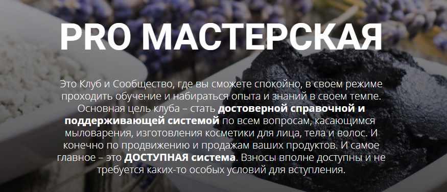 [Home Spa School] Pro Мастерская. Сентябрь 2021 Тариф Бизнес (Елена Чилдерс)