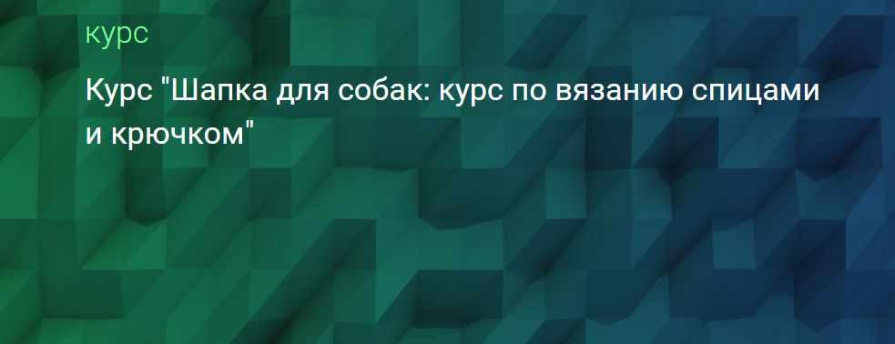 [puzzlebrain] Курс Шапка для собак: курс по вязанию спицами и крючком (Анастасия Крайнюкова)