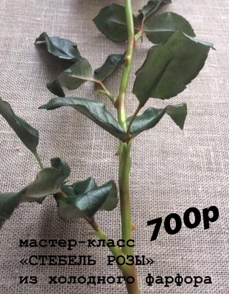 Стебель розы (Анжелика Флор)