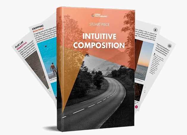 Интуитивная композиция (Стюарт Прайс)