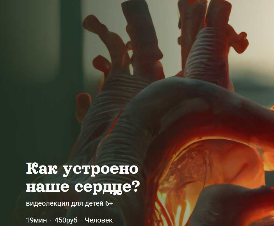 [Детский лекторий] Как устроено наше сердце? (Александр Толмачев)