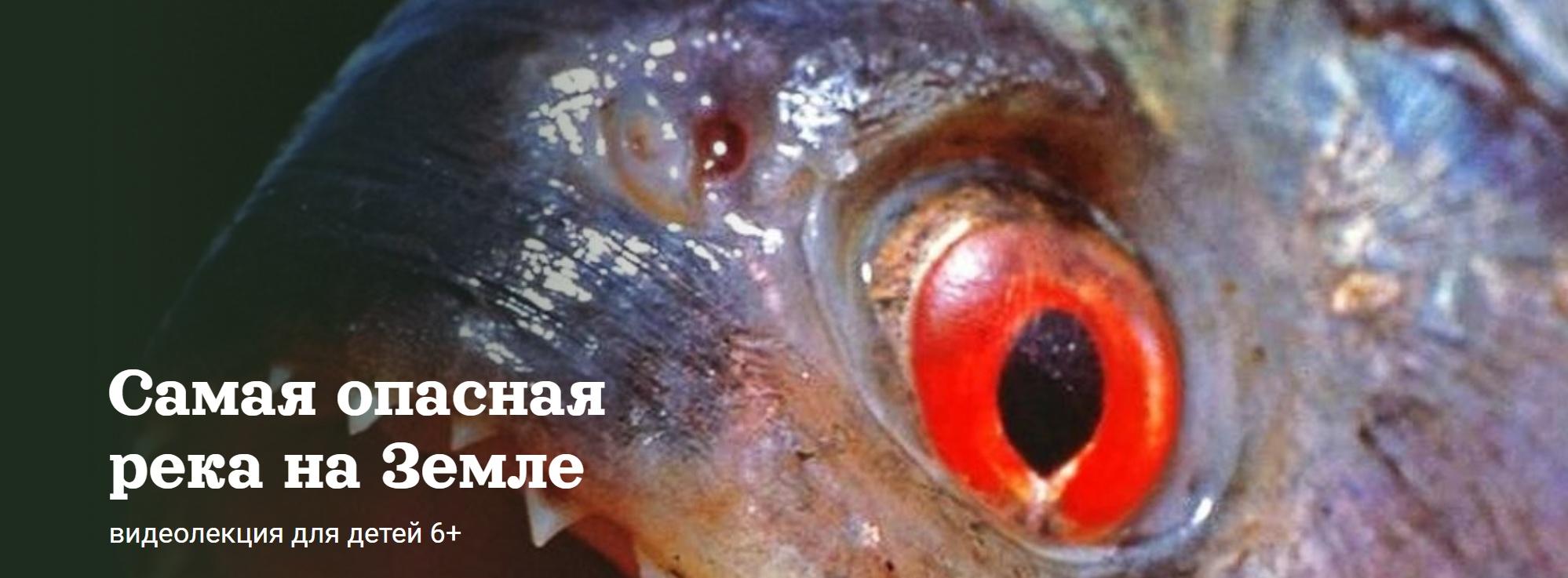[Детский лекторий] Самая опасная река на Земле (Александр Толмачев), фото 1 из 1.