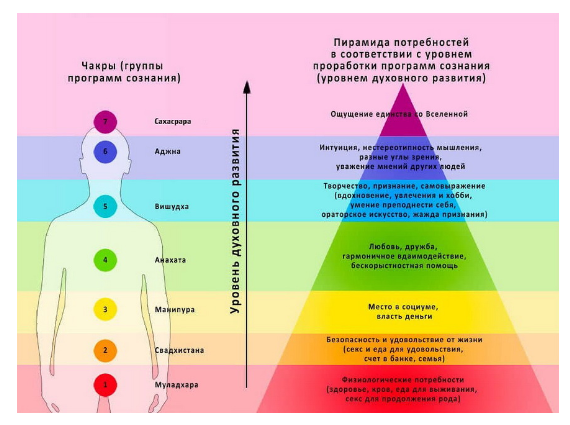 Тонкие тела человека. Их структура и особенности работы с ними (Геннадий Непокойчицкий)