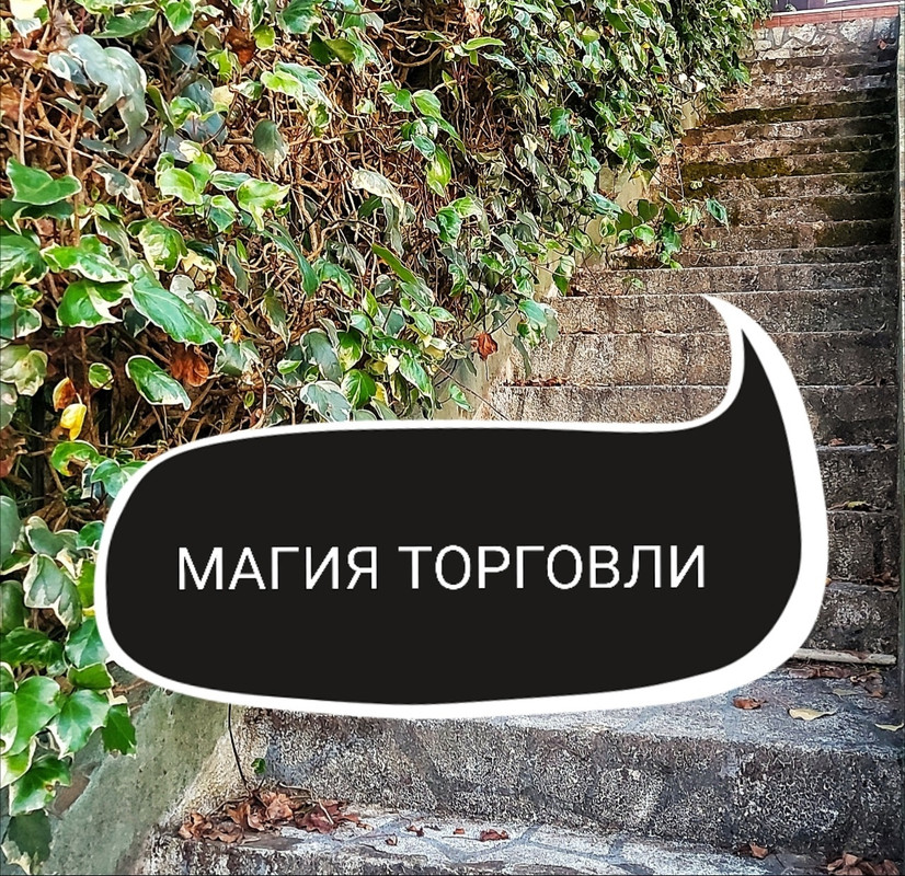 Магия торговли (Ольга Ракита)
