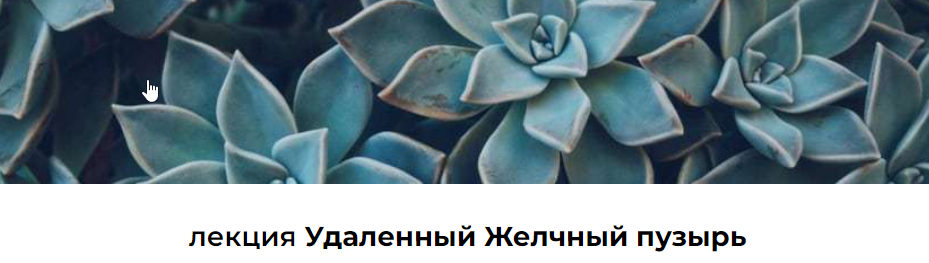 Лекция "Удаленный Желчный пузырь" (Венера Хабирова)