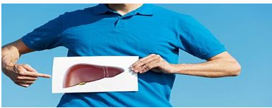 7 серебряных ступеней здоровой печени! (Алексей Маматов), фото 1 из 1.