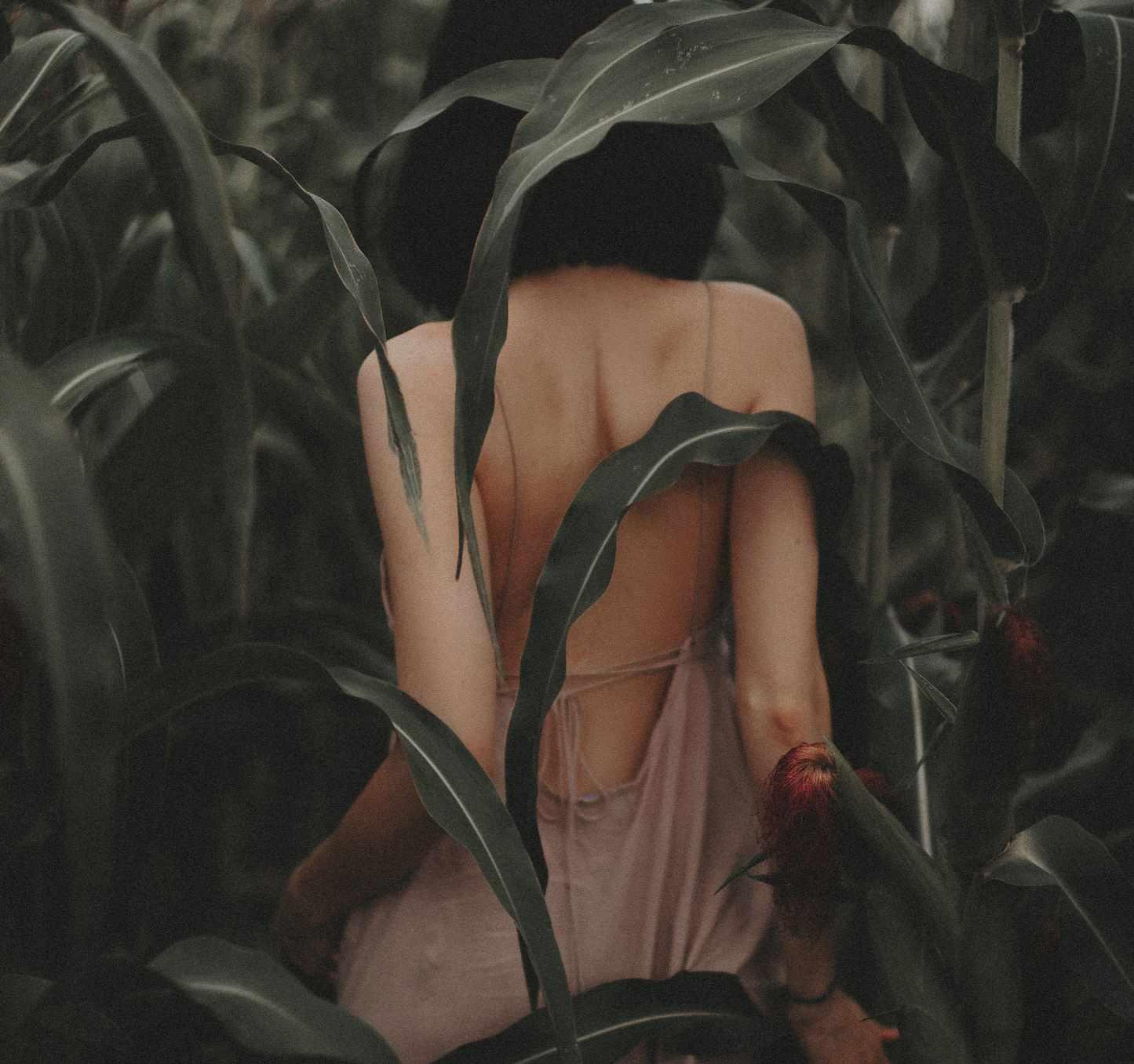 Видео-урок по цветокоррекции в Lightroom (Олеся Шацкова)