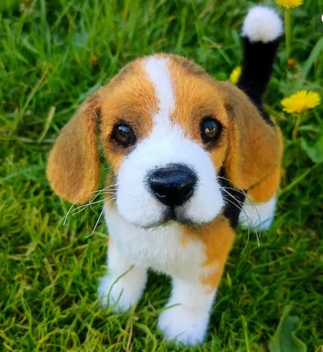 Бигль (Юлия Стрелкова)