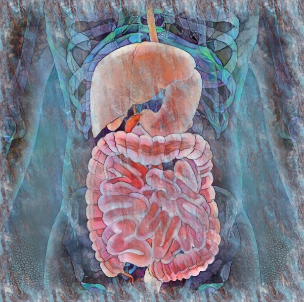 [Sapien Medicine] Железный пищевод. Помощь при воспалении желудочно-кишечного тракта