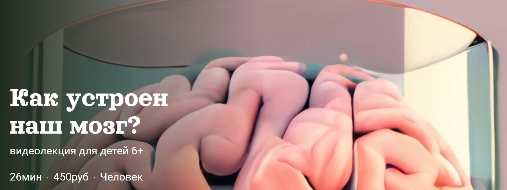 [Детский лекторий] Как устроен наш мозг? (Александр Толмачев)
