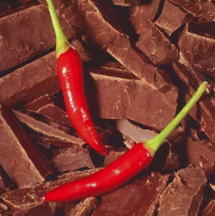 Полномочие Чили Шоколад (Лавиния Сина Шендрей)