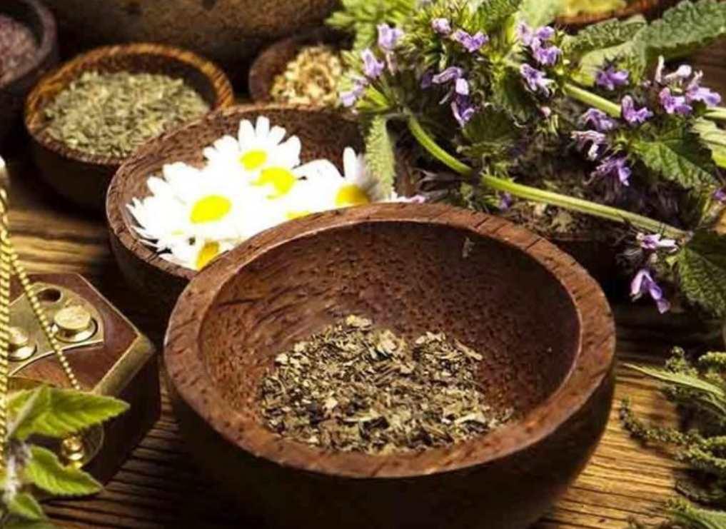 Научная магия трав. Женское исцеление силой природы (Елена Бахтина), фото 1 из 1.