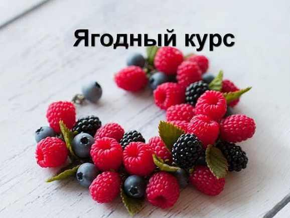 Осенний ягодный курс (Катя Килязова)