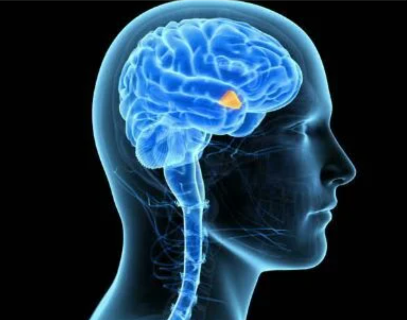 [Sigh Energy] Мощное исцеление и регенерация гипоталамуса + 11x (сверхсильный). Hypothalamus Healing and Regeneration