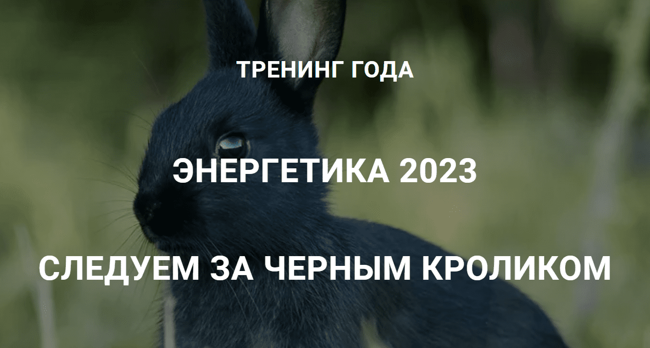 (Дао-Сфера) Энергетика 2023. Следуем за черным кроликом (Дмитрий Лаптев)