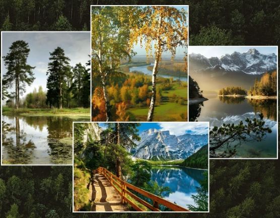 Курс по классическому пейзажу. Пакет Минимальный (Ольга Базанова)